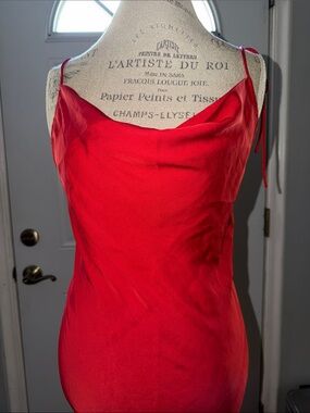 JLUXLABEL Red Cowl Neck Maxi slip dress